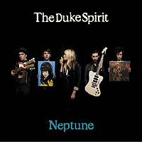 The Duke Spirit record cover